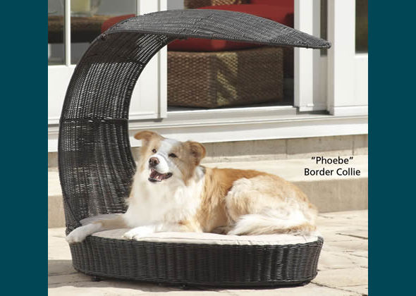 Best Dog Catalogs