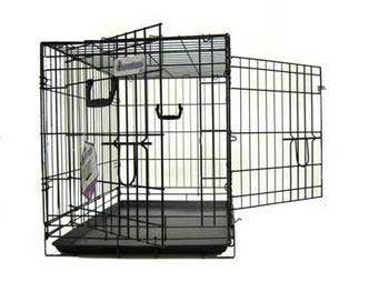 Best Dog Catalogs