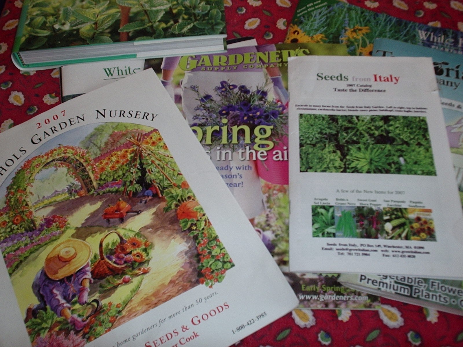 Dog Catalogues