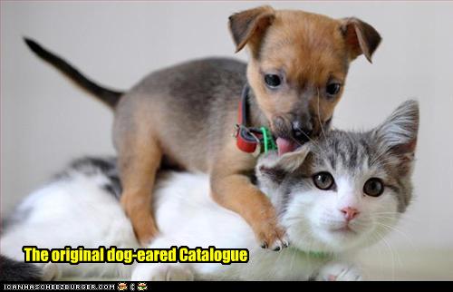 Dog Catalogues Uk