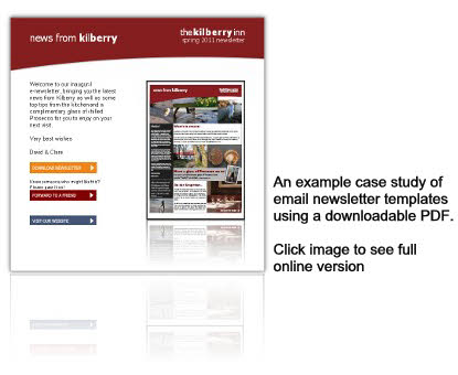 Email Newsletter Format