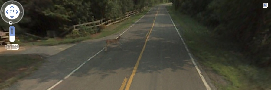 Google Maps Funny Things