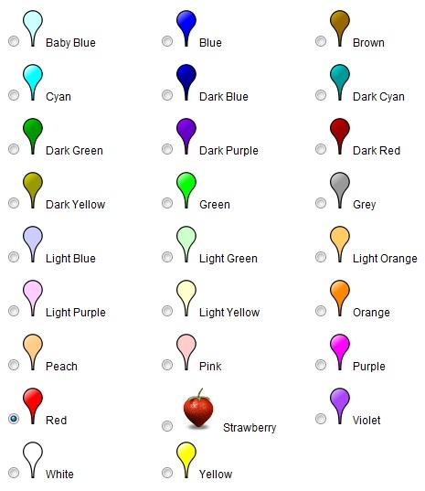 Google Maps Icon