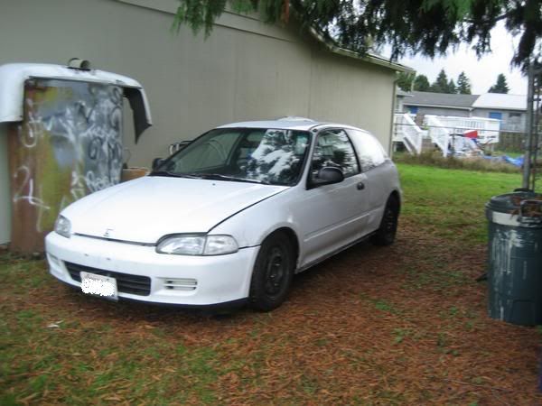 Hayame Wheels