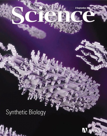 Newspaper Articles For Kids About Science